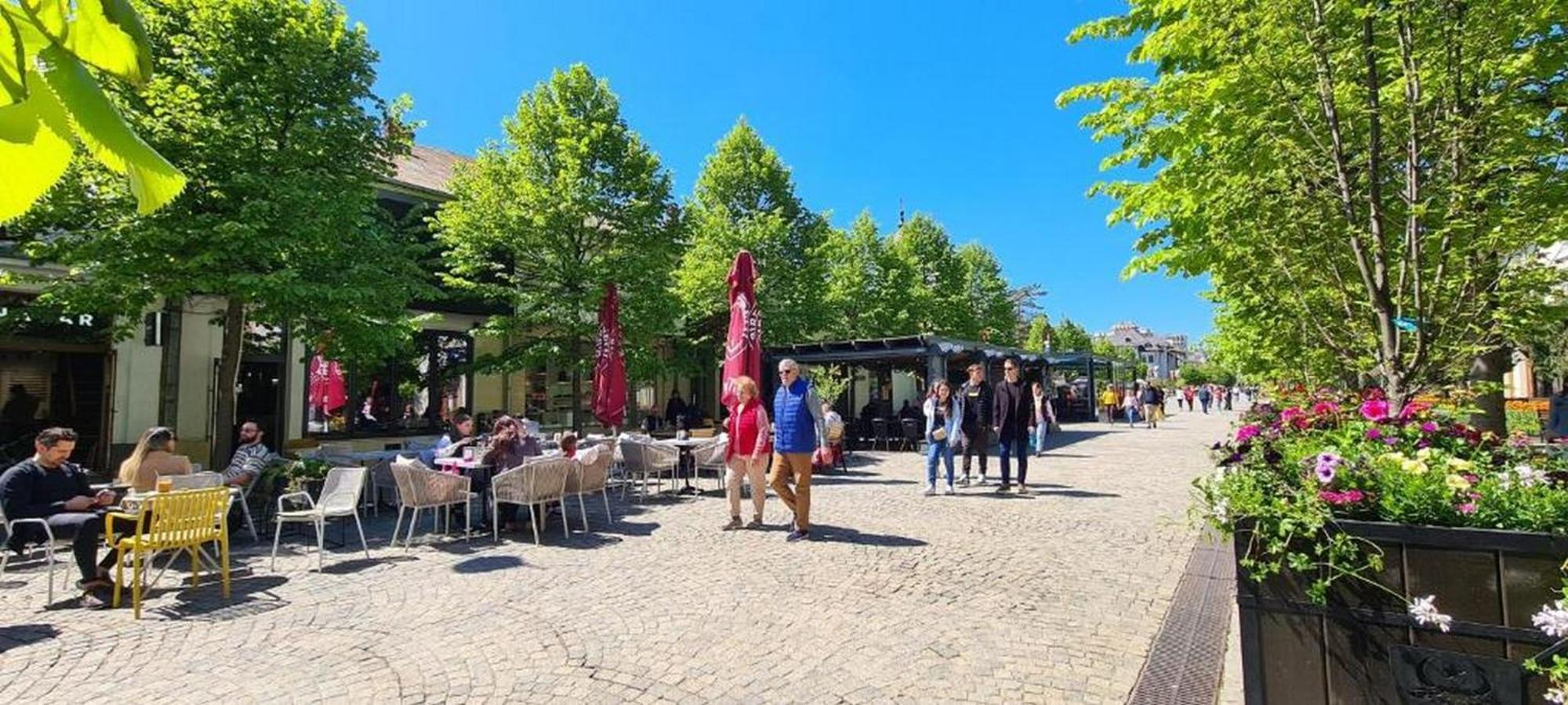 Exodus - Iasi City Center Exteriör bild